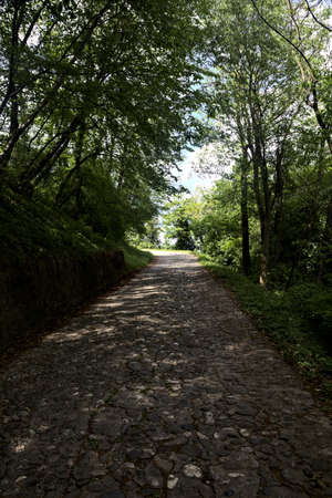 Bend in a paved road in a forest with a clear sky with clouds in the backgroundの写真素材