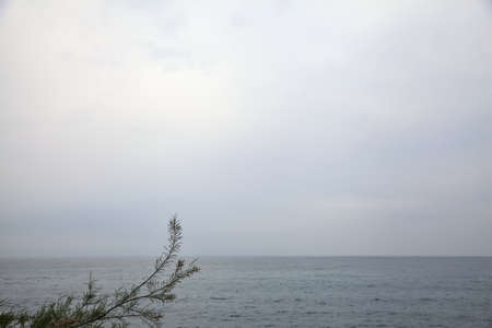 Overcast sky above the seaの写真素材