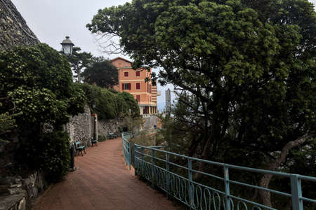 Trail in a park on a cloudy dayの写真素材