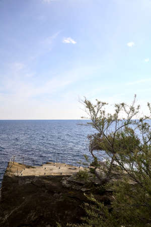 Sea on a sunny day framed by trees and plants