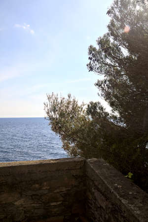 Panoramic point by the sea with maritime pines on a sunny day with clouds