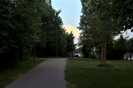Path in a park at sunset