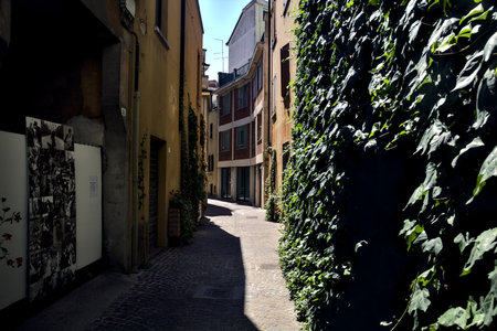Narrow alley partly in the shade with ivy climbing on a wallの写真素材