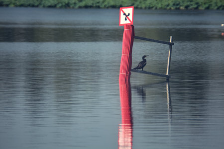 Buoy on a lake at sunsetの写真素材