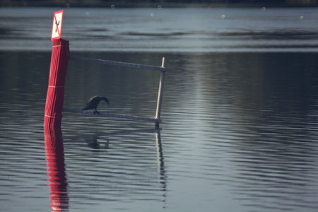 Buoy on a lake at sunsetの写真素材