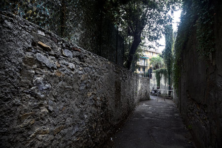 Entrance of an alley between stone walls with plants and trees on a cloudy dayの写真素材