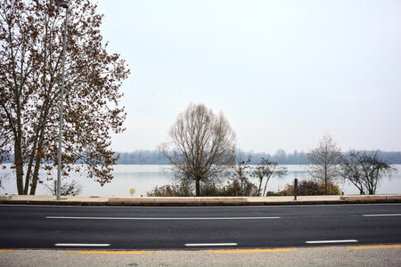 Road next to a bare grove by the riverside in winterの写真素材
