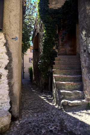 Gate and door with plants surrounding them and the facadeの写真素材