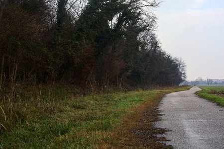 Asphalt trail bordered by a cultivated field and a forest next to a stream of water on a cloudy day...