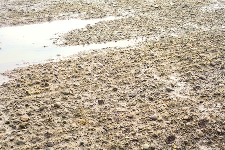 Puddle in a cultivated field seen up close