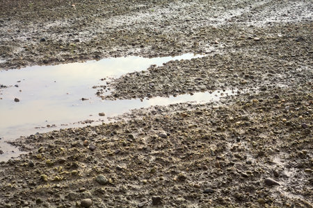 Puddle in a cultivated field seen up closeの写真素材