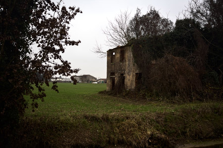 Abandoned country house covered by plants in a cultivated field next to a road and a stream of water on a cloudy day in the italian countrysideの写真素材
