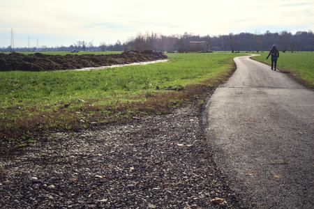 Paved trail between cultivated fields on a sunny day in the Italian countryside