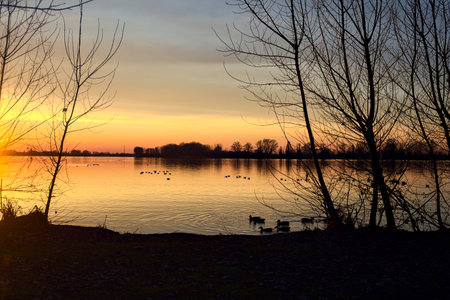 Lake at sunset seen from the shore with silhouette of trees framing it