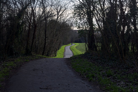 Paved trail next to a field framed by trees and a path in a shady grove in the Italian countryside