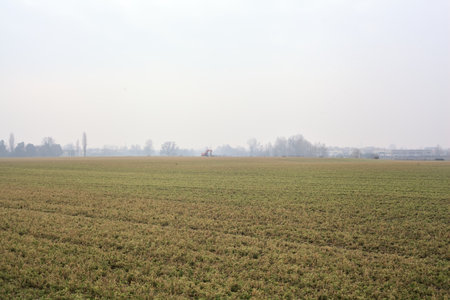 Field on a cloudy day with trees and a grove in the distance in the italian countryside in winterの写真素材