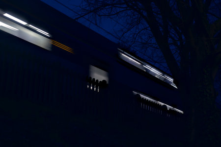 Train passing by on an embankment in a park seen from a bridge at dusk