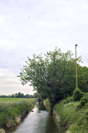 Channel bordered by a field and trees with a rusty street lamp at a bend on a cloudy day in the Italian countrysideの写真素材