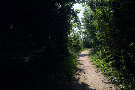 Trail between bushes in a park by the shore of a river in the Italian countryside