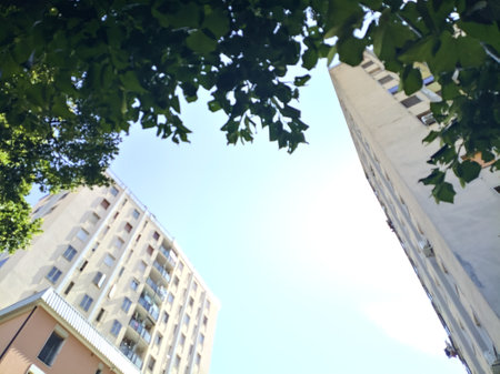 Skyscraper framed by a concrete porchway and a tree top on a sunny day
