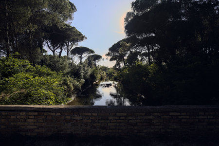 Creek in a forest by the seaside at sunset with reflections of trees in the water seen from a bridgeの写真素材