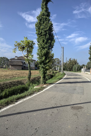 Narrow road in the Italian countryside next to a field bordered by wooden poles on a sunny dayの写真素材