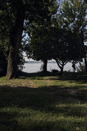 Fisherman by the lakeshore in a park framed by trees
