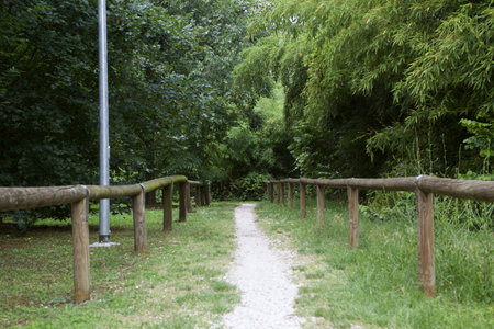 Path in a park in the Italian countryside at sunsetの写真素材