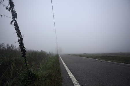 Road bordered by a trench and a power line next to fields on a foggy day in the Italian countryside