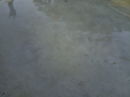 Tree tops and a statue in a park cast in the water of a fountain at sunsetの写真素材