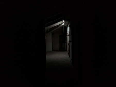 Corridor with wooden doors lit by skylights in the attic of a condominiumの写真素材