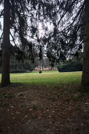 Lawn with trees and a path in it in a park on a cloudy day in autumn