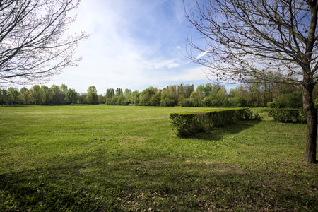 Lawn with trees and bushes in a park in the Italian countryside on a sunny day framed by treesの写真素材