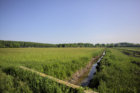 Trench with water in the middle of cultivated fields in the Italian countryside on a sunny dayの写真素材
