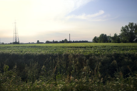 Fields and groves in the Italian countryside at sunset