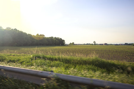 Fields and groves in the Italian countryside at sunset