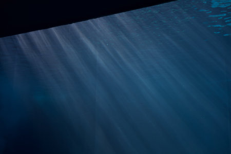 Sunbeam passing under the water surface seen from behind the glass of a tank