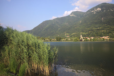 Mountain lake at sunset framed by reeds on its shoreの写真素材