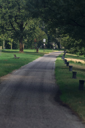 Path bordered by trees in a park by the lakeshore on a cloudy day