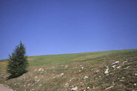 Mountain peak in a park on a sunny day with the sky in the background