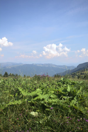 Field on a mountain slope with ridges on the horizon on a sunny day