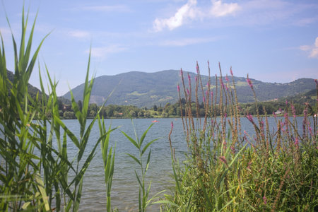 Lake enclosed by mountains with a town on its shore on a sunny dayの写真素材