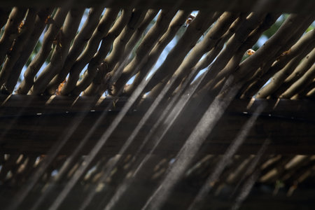 Sunbeams passing through the cracks of a wooden ceilingの写真素材