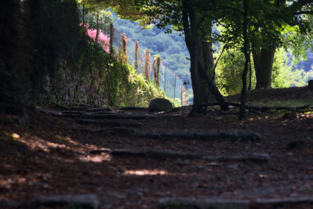 Trail with stairs in a park bordered by a stone wall
