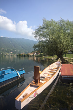 Rowing boat moored next to a tree by the shore of a lake on a sunny dayの写真素材