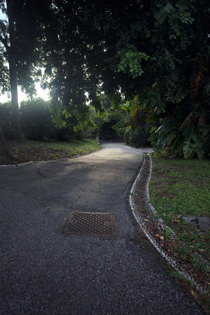 Secluded trail bordered by trees in a park at sunset