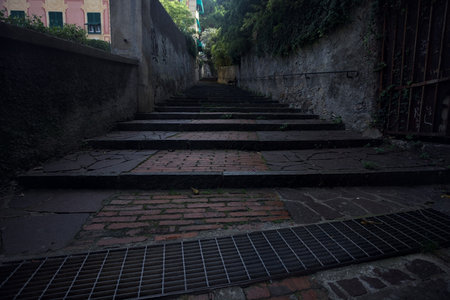 Climbing staircase in the shade bordered by walls with trees arching on it
