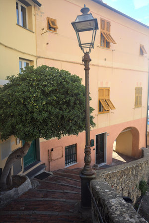 Staircase of a bridge next to house entrances with a tree on a sunny day in an Italian town