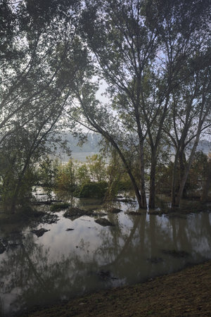 Flooded rivershore in the Italian countryside with trees cast in the water