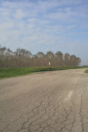 Country road on an embankment next to a grove on a sunny day with light haze